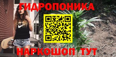 прущие крисы Абинск
