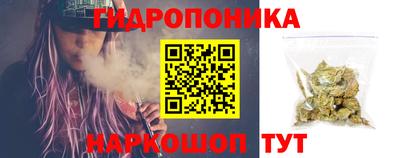 стафф Абакан