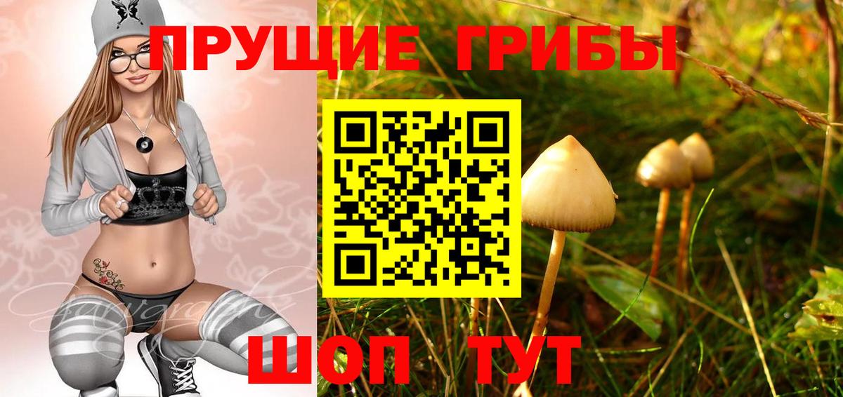 где можно купить наркотик  Вход с VPN  Алушта  Галлюциногенные грибы Cubensis 