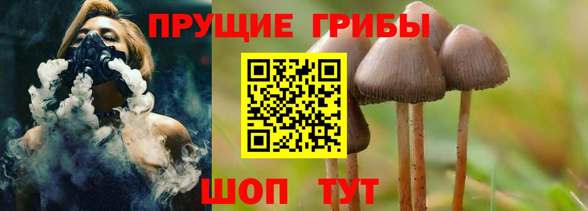 Галлюциногенные грибы GOLDEN TEACHER Алушта